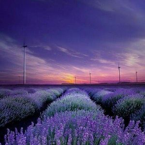 Meet your Posher, Val